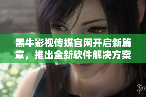 黑牛影视传媒官网开启新篇章，推出全新软件解决方案