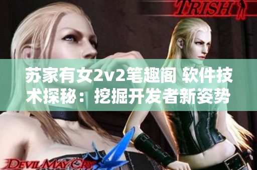 苏家有女2v2笔趣阁 软件技术探秘：挖掘开发者新姿势