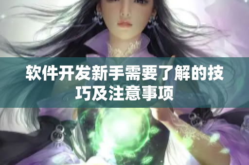 软件开发新手需要了解的技巧及注意事项