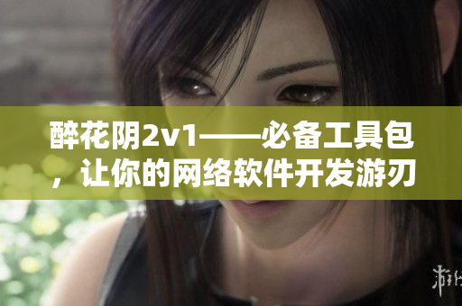 醉花阴2v1——必备工具包，让你的网络软件开发游刃有余！
