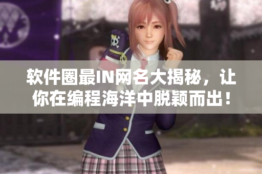 软件圈最IN网名大揭秘，让你在编程海洋中脱颖而出！