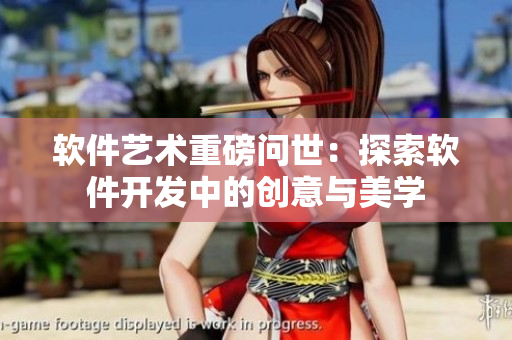 软件艺术重磅问世：探索软件开发中的创意与美学
