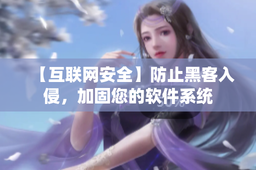 【互联网安全】防止黑客入侵，加固您的软件系统