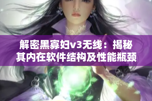 解密黑寡妇v3无线：揭秘其内在软件结构及性能瓶颈
