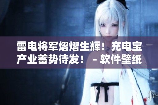 雷电将军熠熠生辉！充电宝产业蓄势待发！ - 软件壁纸高清分享