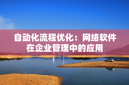 自动化流程优化：网络软件在企业管理中的应用