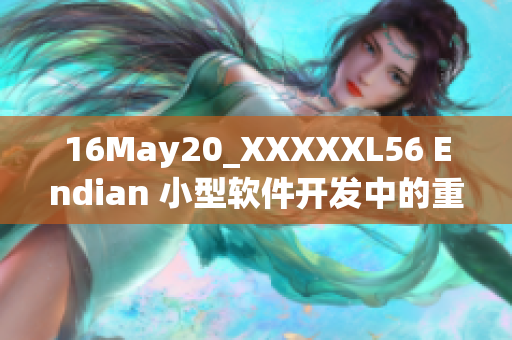 16May20_XXXXXL56 Endian 小型软件开发中的重要性