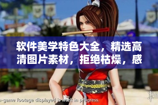 软件美学特色大全，精选高清图片素材，拒绝枯燥，感受软件之美