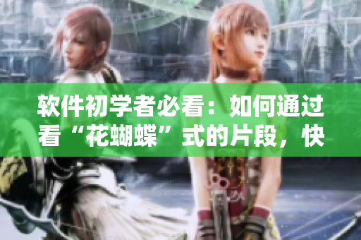 软件初学者必看：如何通过看“花蝴蝶”式的片段，快速学习编程技能？