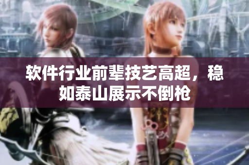 软件行业前辈技艺高超，稳如泰山展示不倒枪
