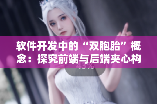 软件开发中的“双胞胎”概念：探究前端与后端夹心构建模式