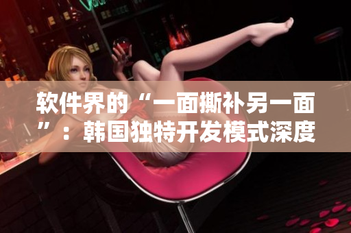 软件界的“一面撕补另一面”：韩国独特开发模式深度揭秘