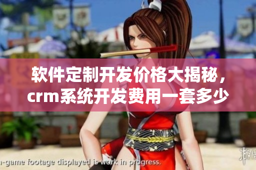 软件定制开发价格大揭秘，crm系统开发费用一套多少钱？