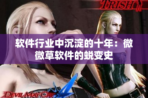 软件行业中沉淀的十年：微微草软件的蜕变史