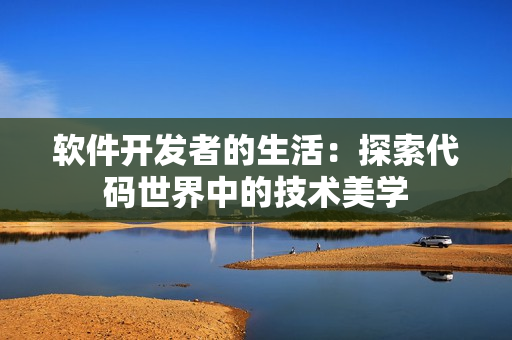 软件开发者的生活：探索代码世界中的技术美学