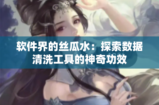 软件界的丝瓜水：探索数据清洗工具的神奇功效