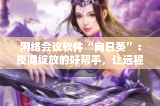 网络会议软件“向日葵”：夜间绽放的好帮手，让远程沟通更加高效！