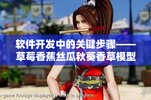 软件开发中的关键步骤——草莓香蕉丝瓜秋葵香草模型详解