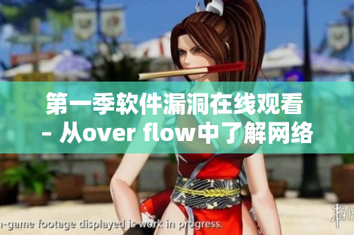 第一季软件漏洞在线观看 – 从over flow中了解网络软件安全漏洞