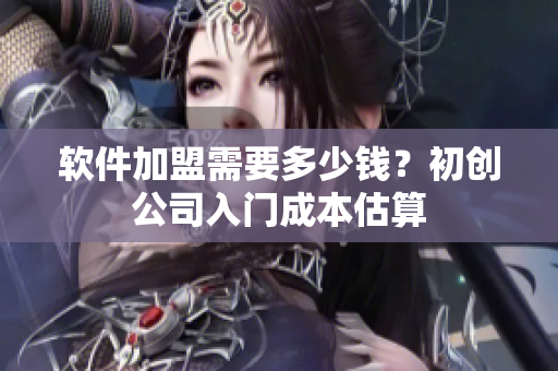 软件加盟需要多少钱？初创公司入门成本估算