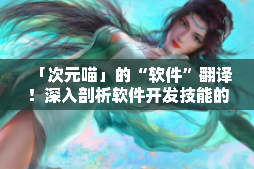 「次元喵」的“软件”翻译！深入剖析软件开发技能的全息世界！