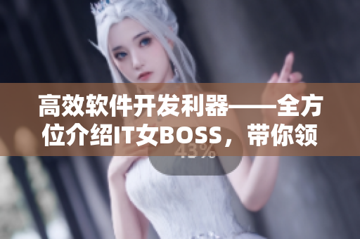 高效软件开发利器——全方位介绍IT女BOSS，带你领略软件行业的魅力