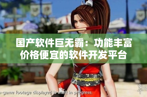 国产软件巨无霸：功能丰富价格便宜的软件开发平台