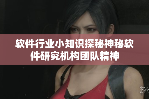 软件行业小知识探秘神秘软件研究机构团队精神