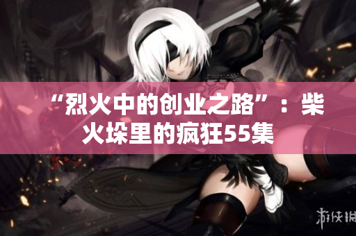 “烈火中的创业之路”：柴火垛里的疯狂55集
