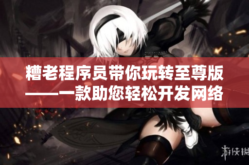 糟老程序员带你玩转至尊版——一款助您轻松开发网络软件的顶尖解决方案