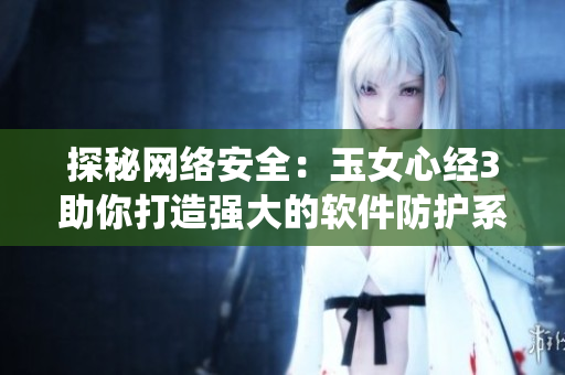 探秘网络安全：玉女心经3助你打造强大的软件防护系统
