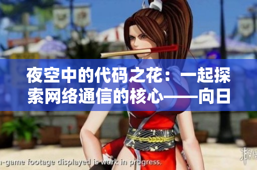 夜空中的代码之花：一起探索网络通信的核心——向日葵热心控制远程桌面