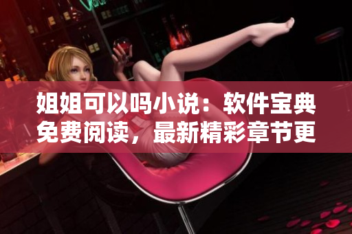 姐姐可以吗小说：软件宝典免费阅读，最新精彩章节更新