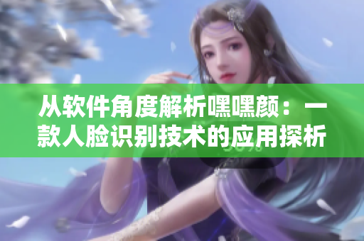 从软件角度解析嘿嘿颜：一款人脸识别技术的应用探析