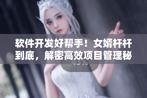 软件开发好帮手！女婿杆杆到底，解密高效项目管理秘籍