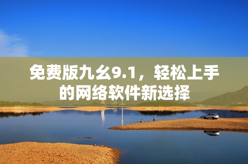 免费版九幺9.1，轻松上手的网络软件新选择