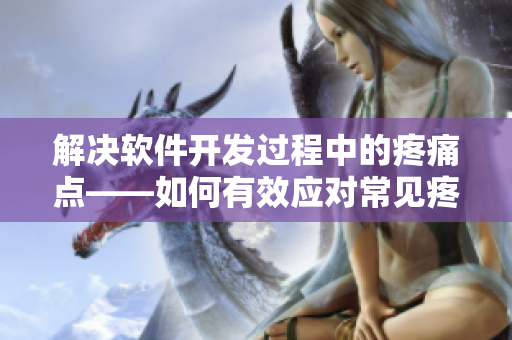解决软件开发过程中的疼痛点——如何有效应对常见疼痛问题