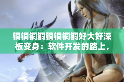 铜铜铜铜铜铜铜铜好大好深板变身：软件开发的路上，技术之光闪耀  