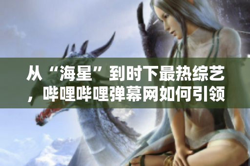 从“海星”到时下最热综艺，哔哩哔哩弹幕网如何引领年轻人文化生活？