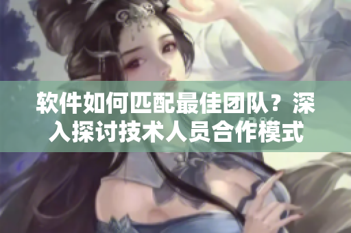 软件如何匹配最佳团队？深入探讨技术人员合作模式