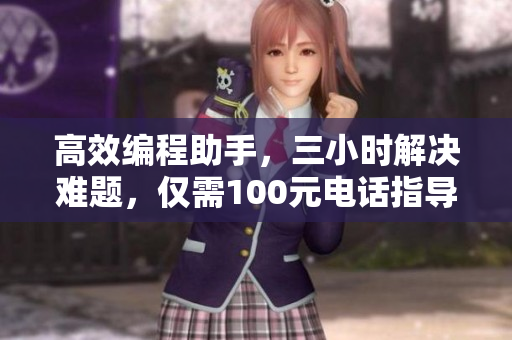 高效编程助手，三小时解决难题，仅需100元电话指导服务