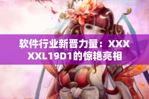 软件行业新晋力量：XXXXXL19D1的惊艳亮相