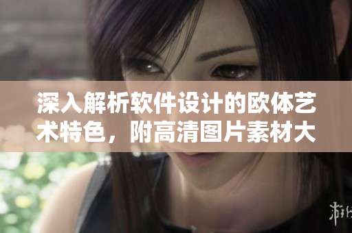 深入解析软件设计的欧体艺术特色，附高清图片素材大全