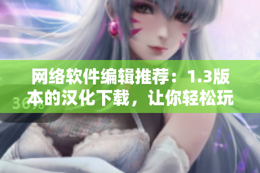 网络软件编辑推荐：1.3版本的汉化下载，让你轻松玩转软件！