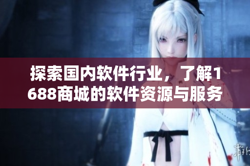 探索国内软件行业，了解1688商城的软件资源与服务