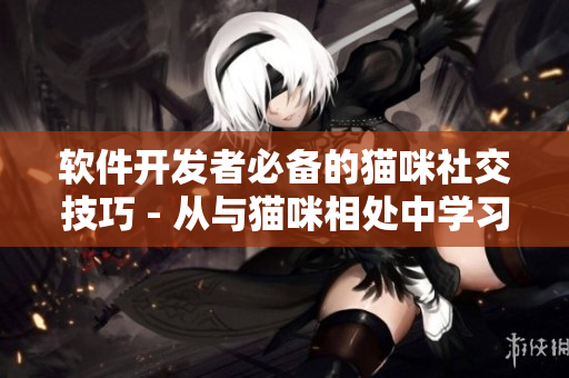 软件开发者必备的猫咪社交技巧 - 从与猫咪相处中学习软件开发艺术