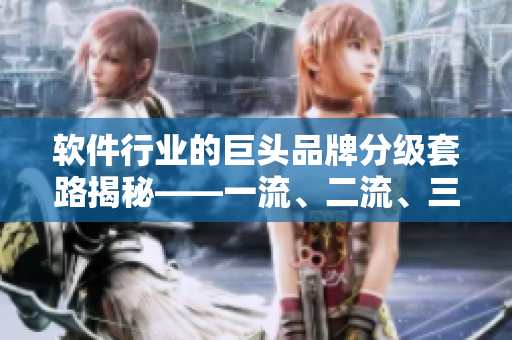 软件行业的巨头品牌分级套路揭秘——一流、二流、三流软件公司你了解多少？