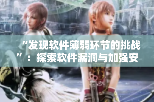 “发现软件薄弱环节的挑战”：探索软件漏洞与加强安全的实践探究