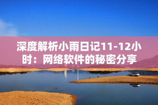 深度解析小雨日记11-12小时：网络软件的秘密分享