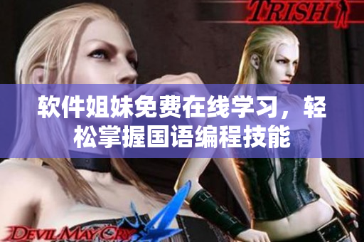软件姐妹免费在线学习，轻松掌握国语编程技能